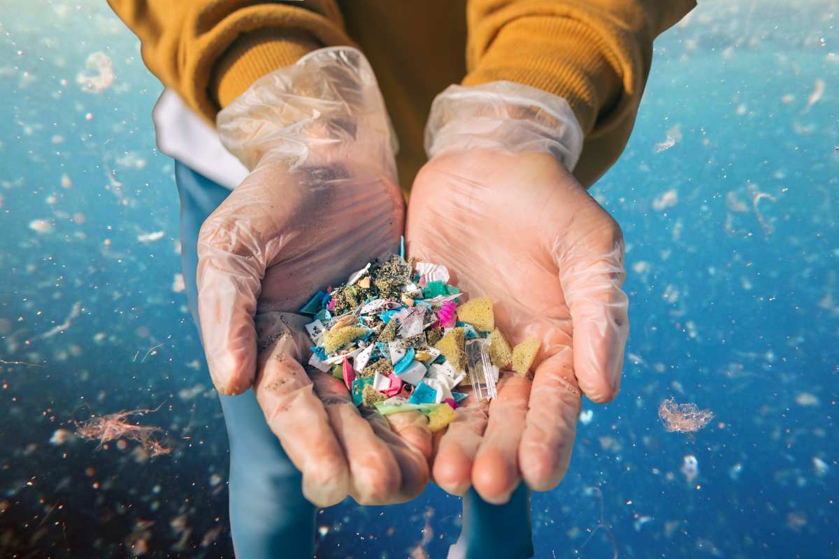 plastica rifiuti marini