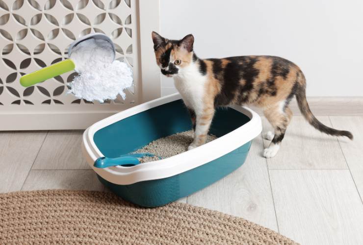 bicarbonato di sodio lettiera