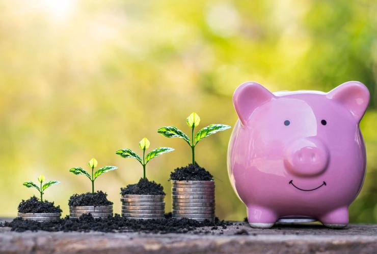 monete con piantine e salvadanaio